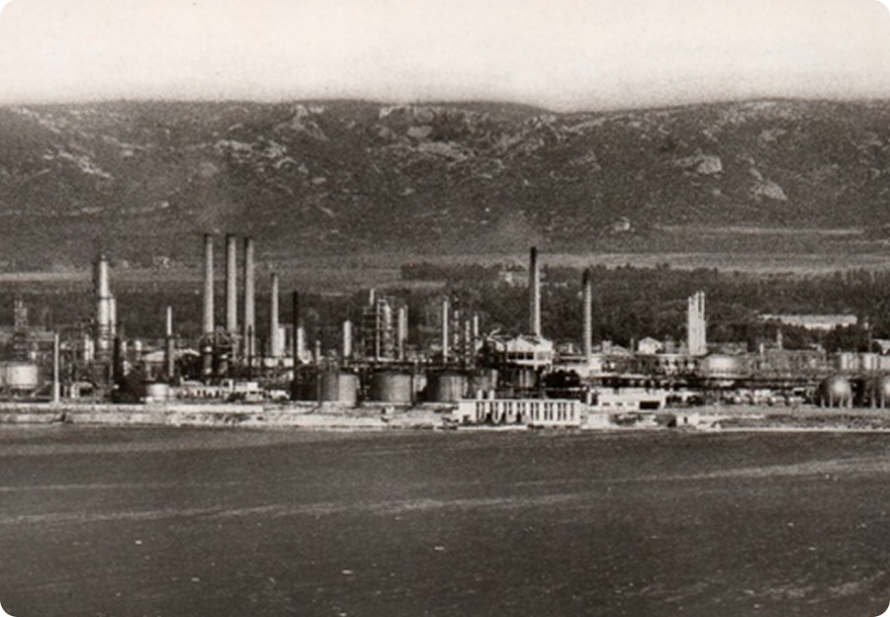 1950