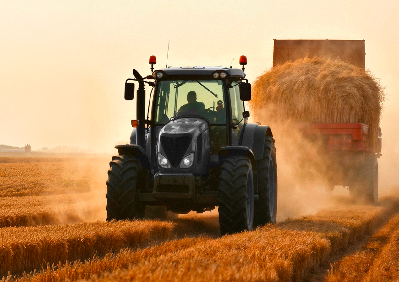 Agriculture